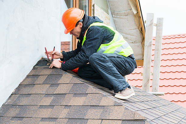 Best Roof Gutter Cleaning  in Mill Creek East, WA